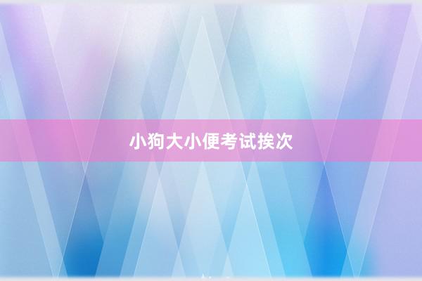 小狗大小便考试挨次